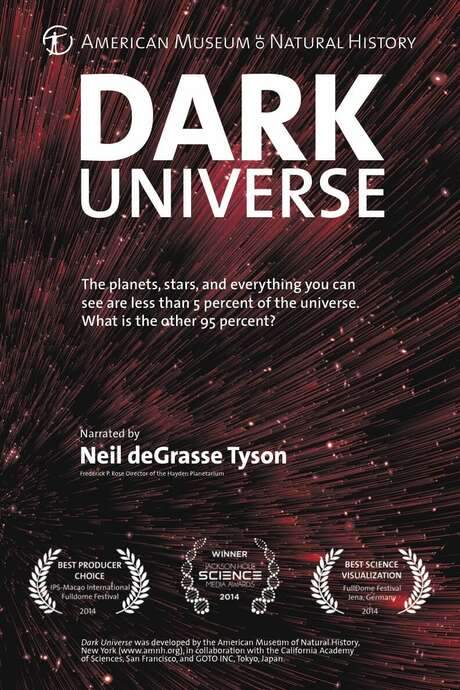 Dark Universe